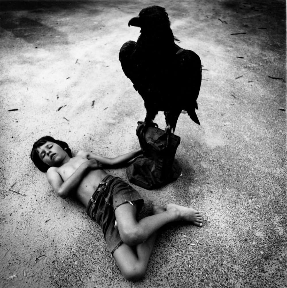 The Dream Collector: Photographer Recreated Childhood’s Nightmare From the 1960s Photography