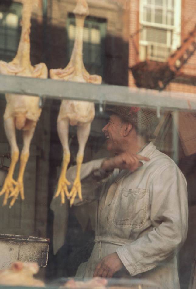 #36 Reataurant, Mott Haven, Bronx, 1970
