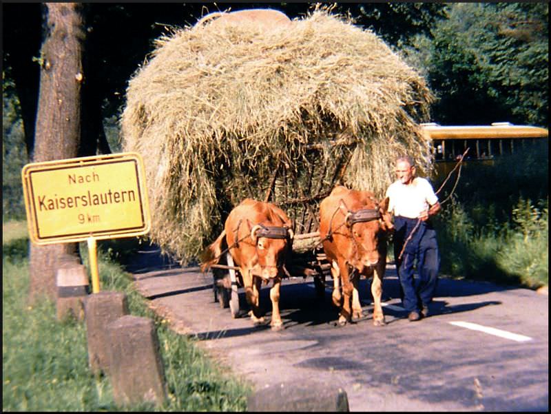#9 Entering Stelzenberg, 1960s