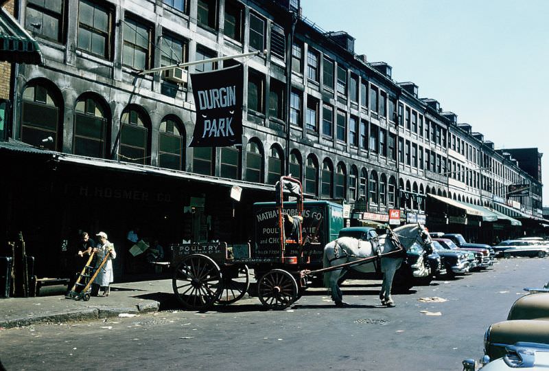 #15 Meat and produce shops in downtown Boston, Massachusetts. June 1957