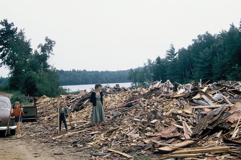 #42 Pile of firewood, Adirondacks, New York. November 1955