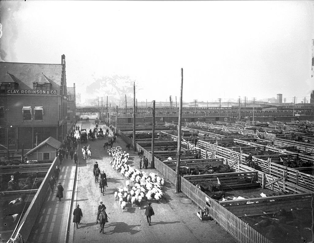 #26 View of livestock pens and workers herding sheep at the Union Stock Yard. Chicago circa 1910s.
