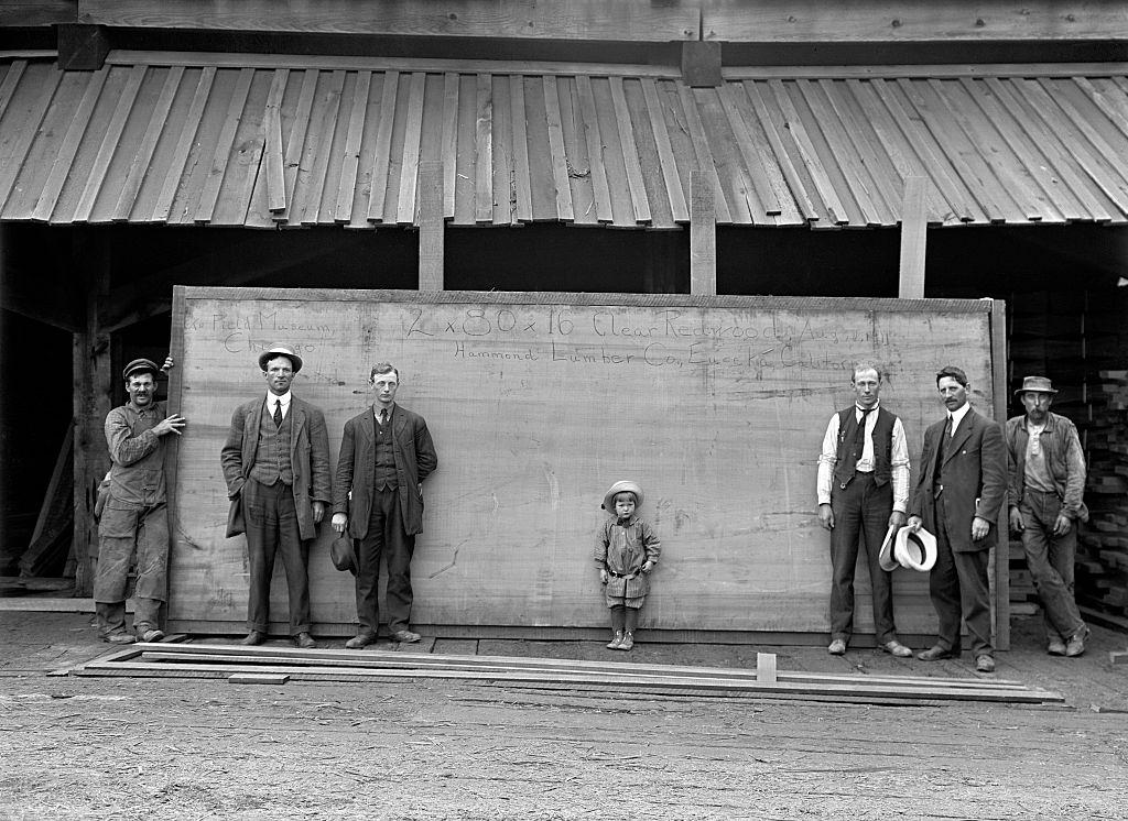 #44 People standing in front of a Giant Redwood plank, now used as a table in the Field Museum Botany department. Chicago, August 1911.
