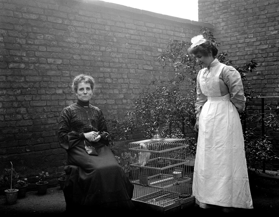 #11 Ladies in the garden, London, 1904