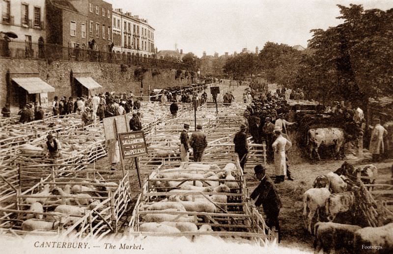 #9 The Market, Canterbury