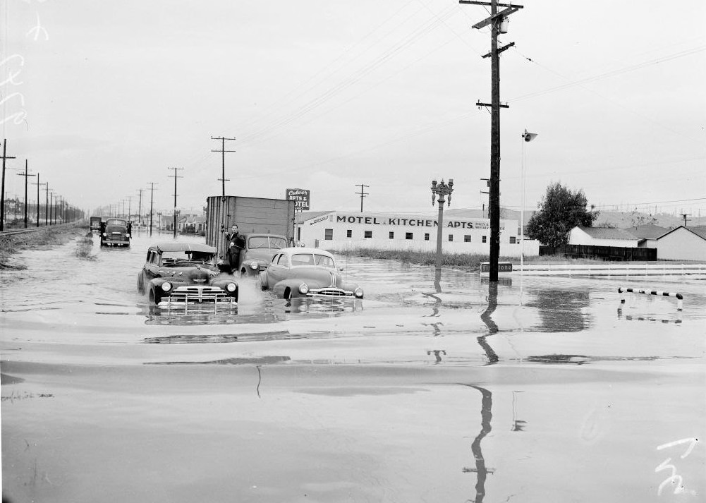 #24 Cars near the motel, Culver Boulevard. 15 November 1952.