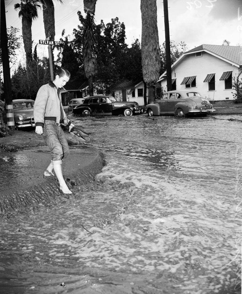 #8 Sylvan Street, Los Angeles. 14 November 1952.