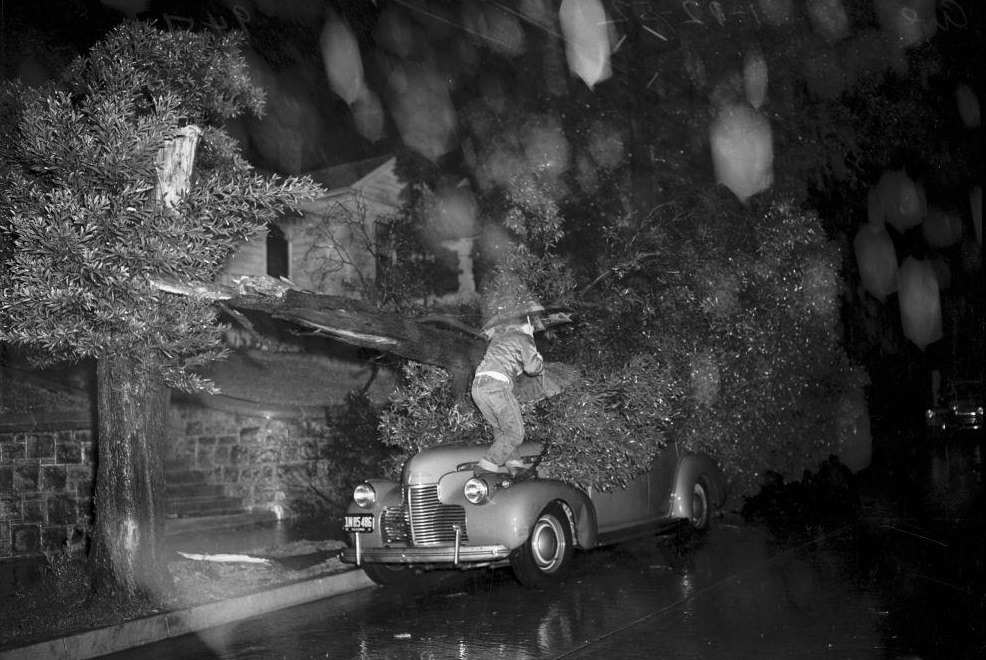 #42 North Solano Avenue, 1952.