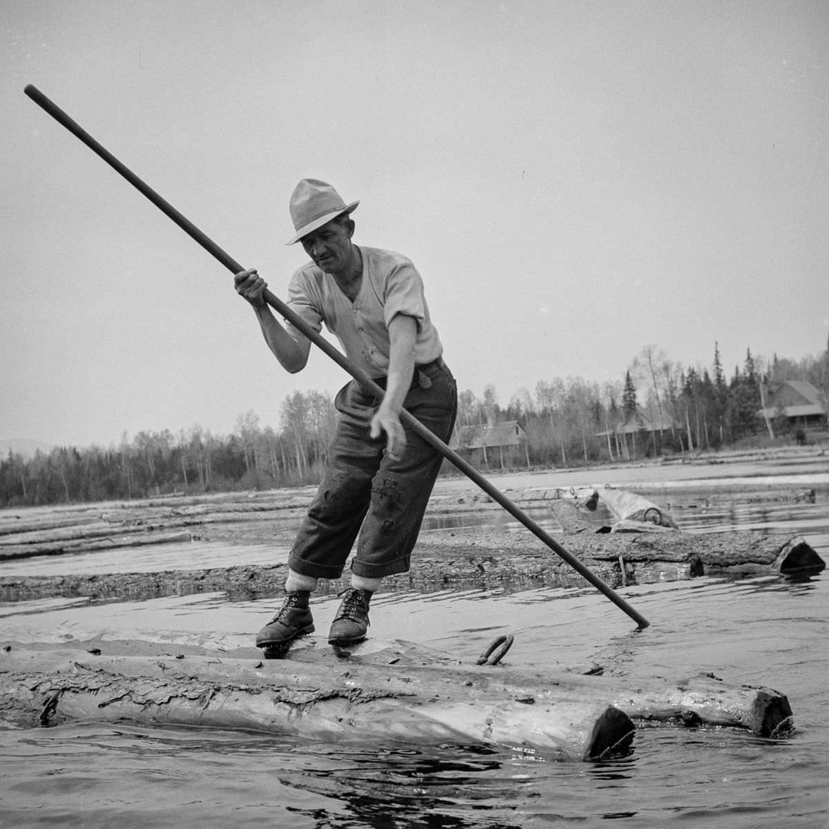 #4 A woodsman wearing spiked shoes opens up an empty boom at the upper end of Mooselookmeguntic Lake so it can be filled with more logs from the Kennebago River.