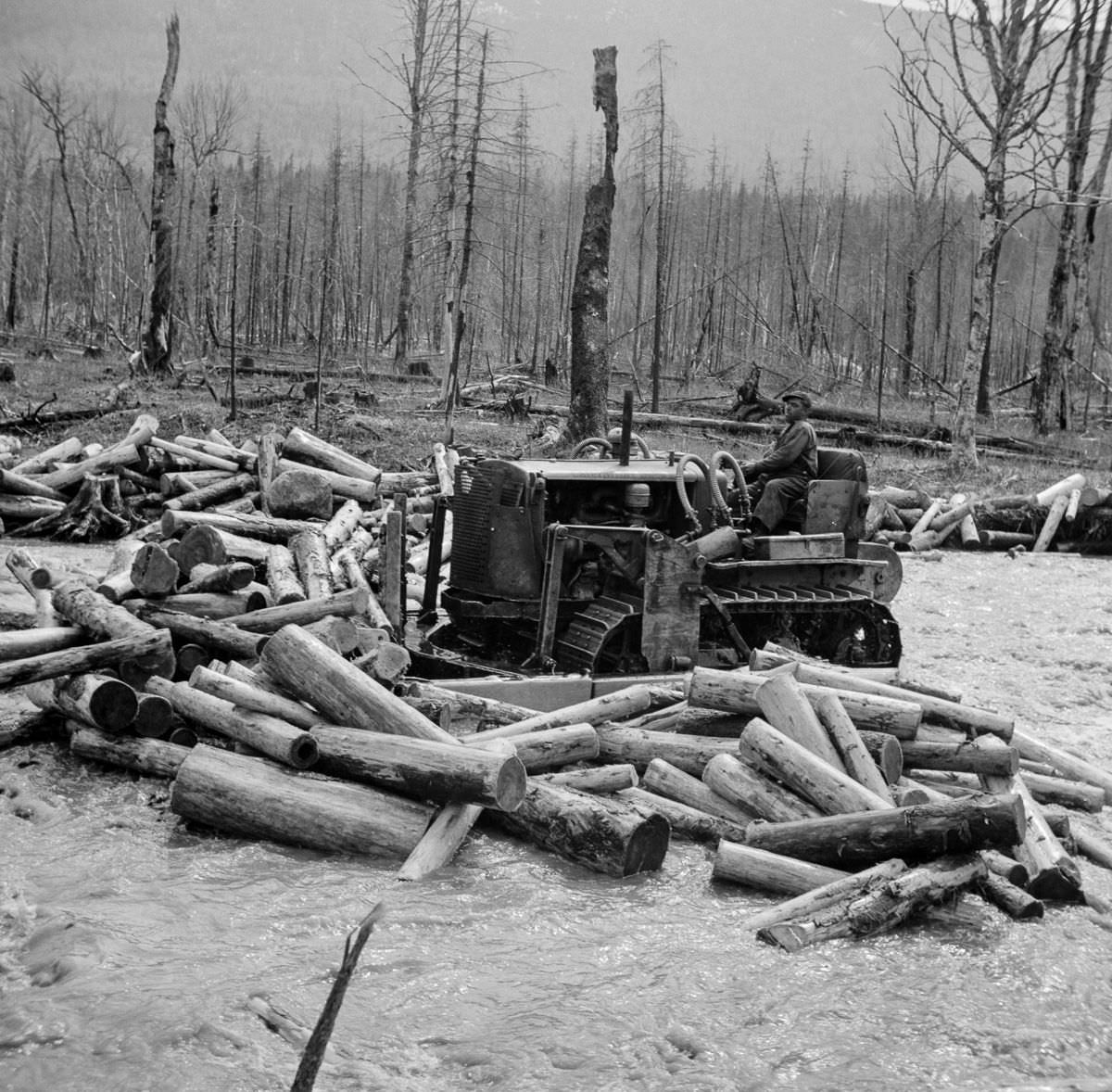 #13 A bulldozer clears a log jam in Dennison Bog Creek.