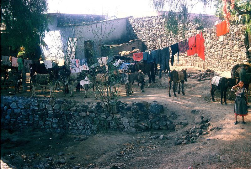 #56 Backyard of village, near Teotihuacan, Mexico, December 1958