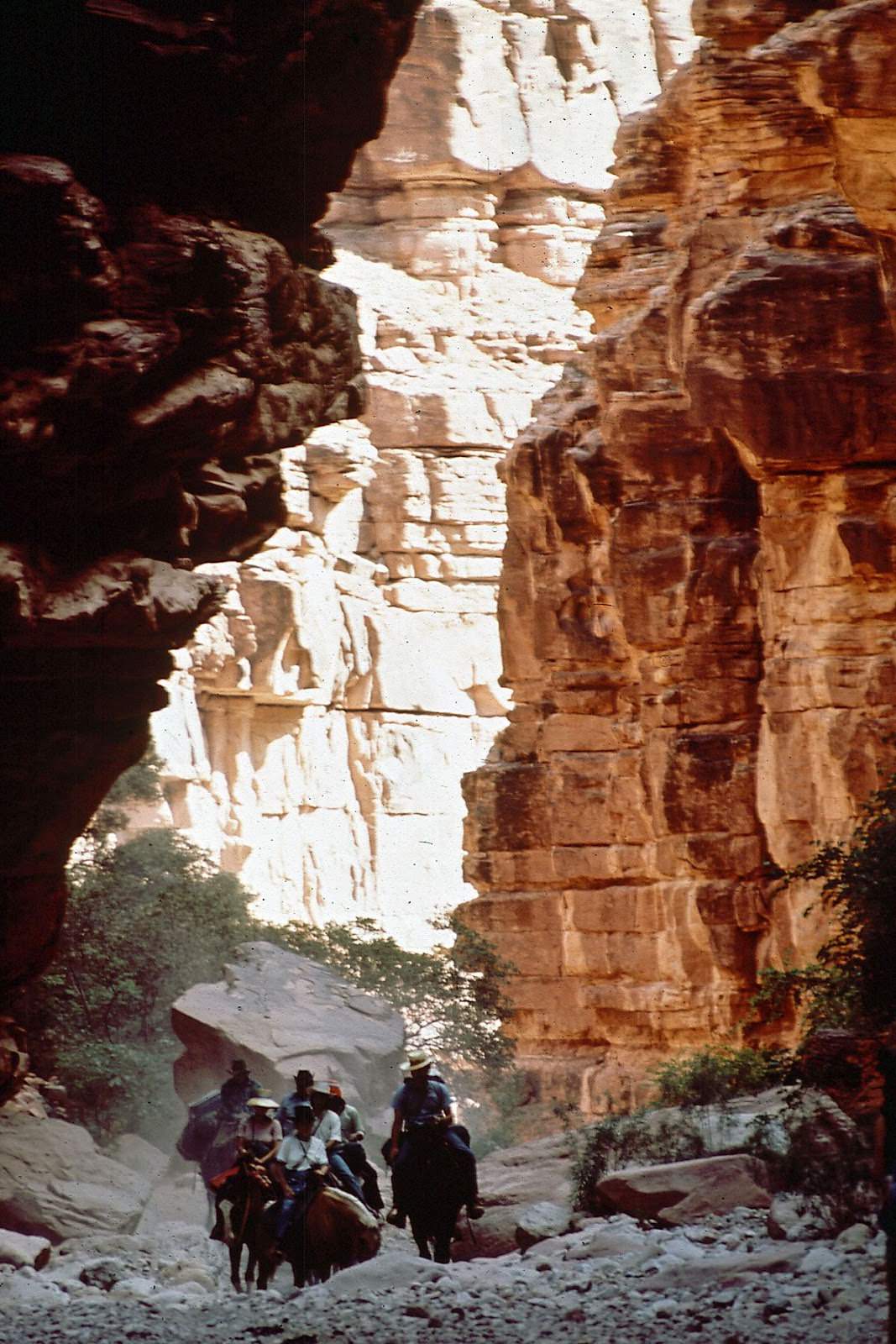 #36 Men ride into the Grand Canyon on the way to the village of Supai, Arizona.