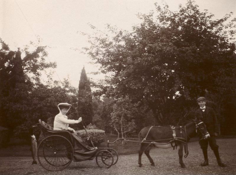 #43 Woman in small carriage, possibly in the Ballindarroch area, c. 1907.
