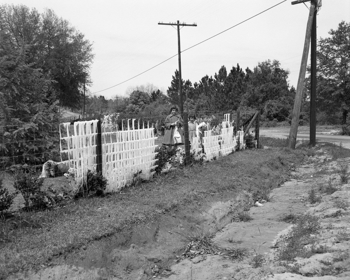 #3 Children next to ice covered fence – Tallahassee, Florida. – March 27, 1955