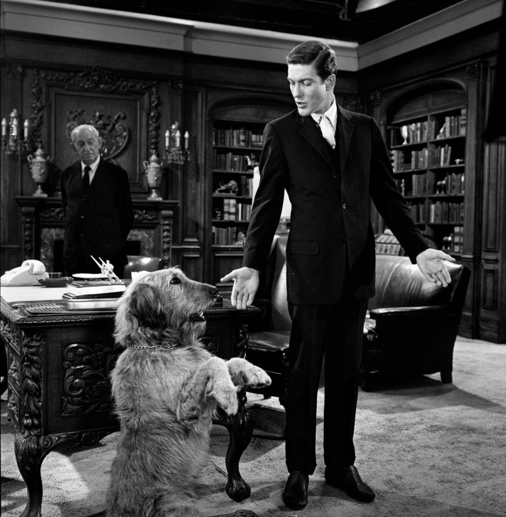 #16 Dick Van Dyke (as Thomas Craig) with a dog in CBS television program, “Alfred Hitchcock Presents”, 1960.