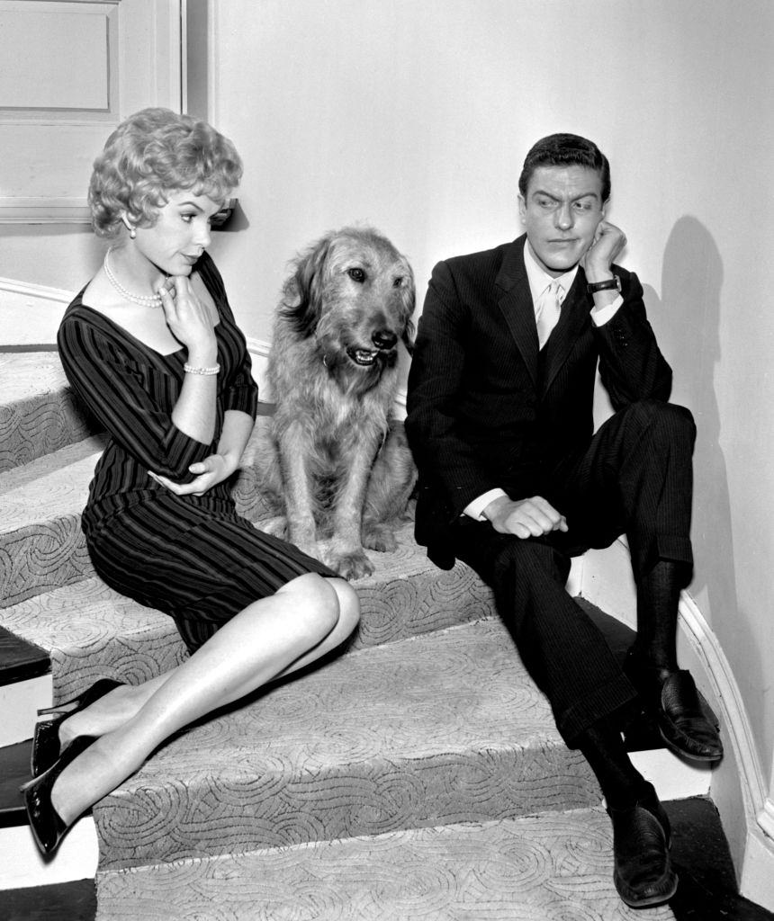 #17 Dick Van Dyke (as Thomas Craig) Stella Stevens (as Judy) with a dog, 1960.