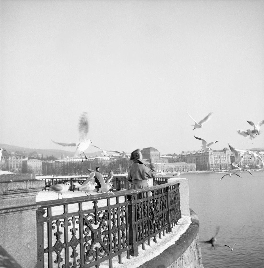 #4 Women feeding gulls at the Zurichsee, Zürich, 1952.