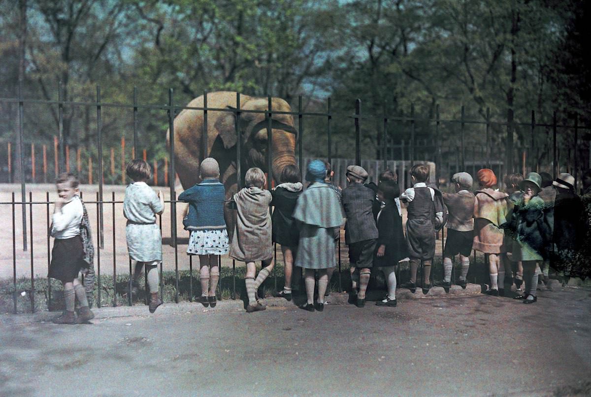 #14 A group of children looks at an elephant at the National Zoo. Washington, DC.