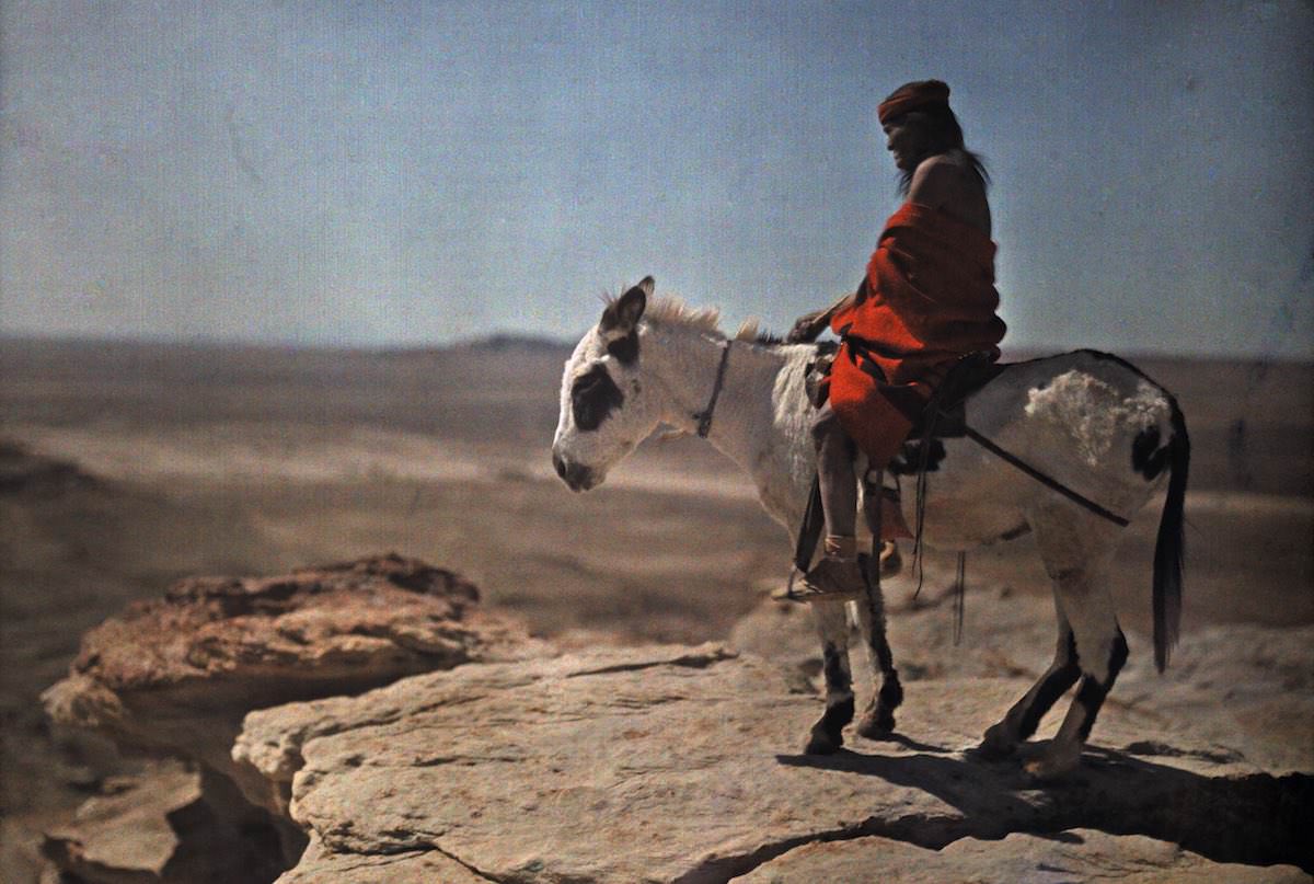#12 A Hopi Indian on his donkey stands on the edge of a high mountain.