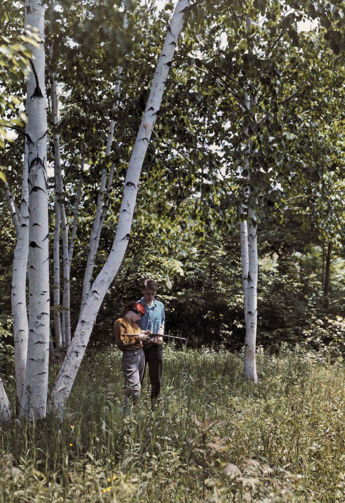 #5 Two men stand among white birches in the Battenkill Valley, Bennington, Vermont.