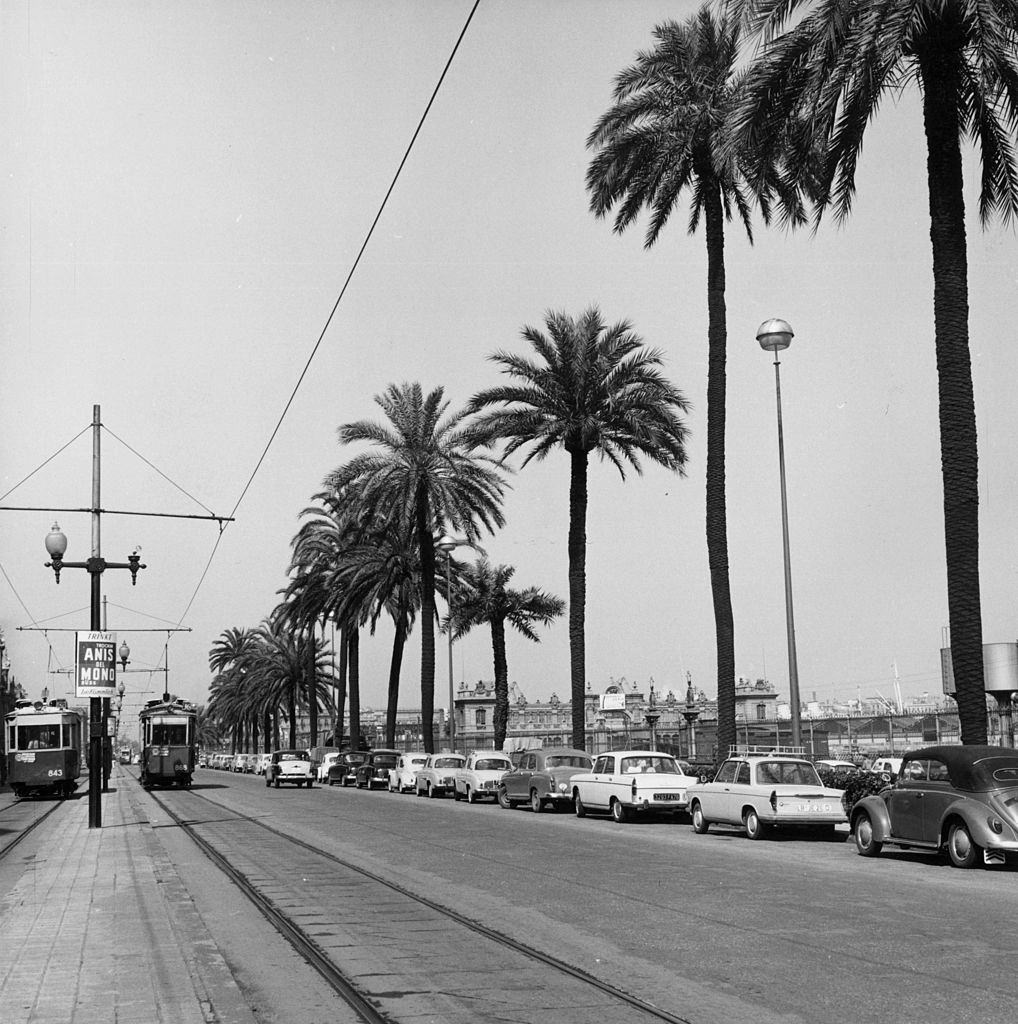 #17 A street where the tram lines run in Barcelona lined with Palm trees, August 1962.