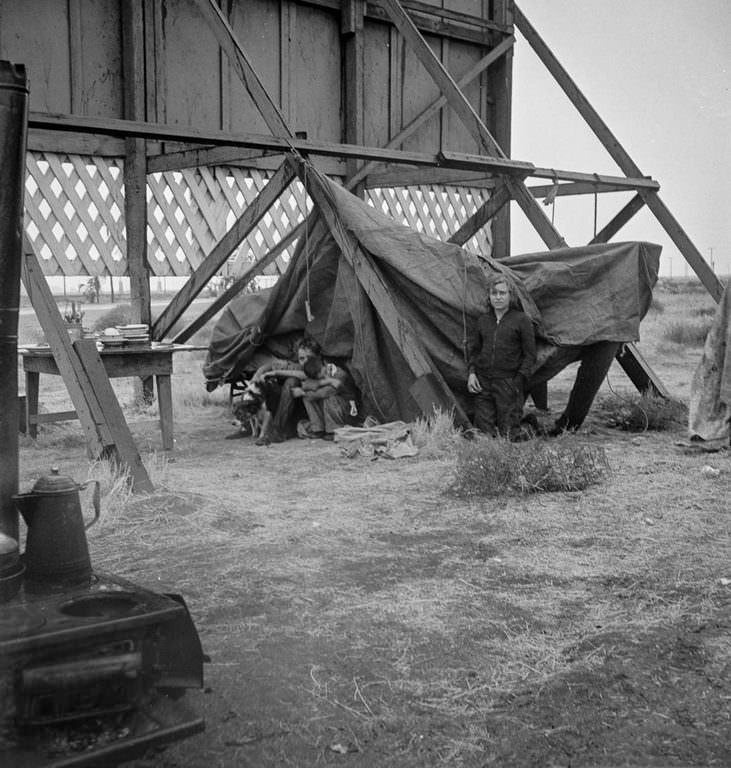 #22 A family camps out behind a billboard on Highway 99 in Kern County, California. 1938.