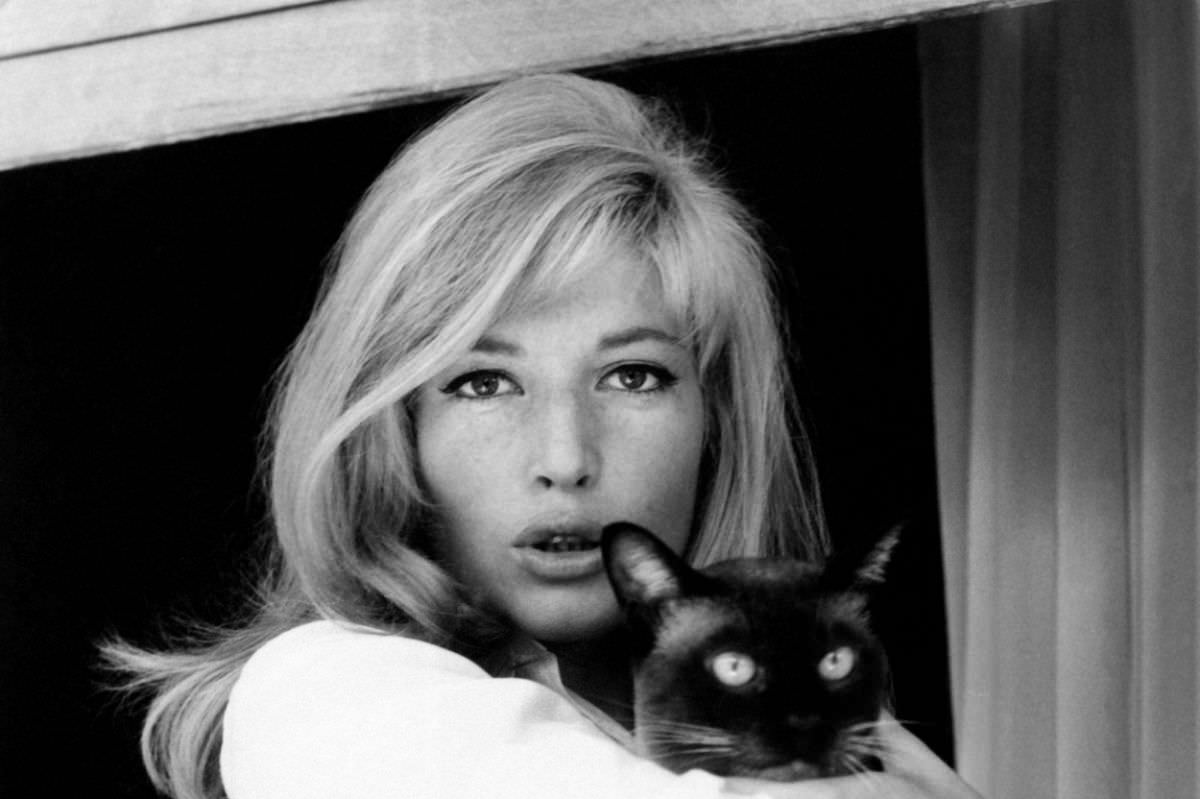 #23 The Italian actress Monica Vitti also often carried a cat in her arms while shooting the film High Infidelity.