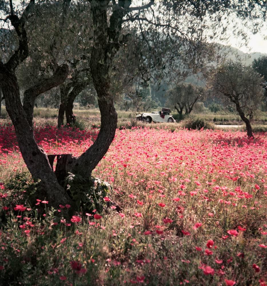 #10 In the Morning, Provence, May 1954.