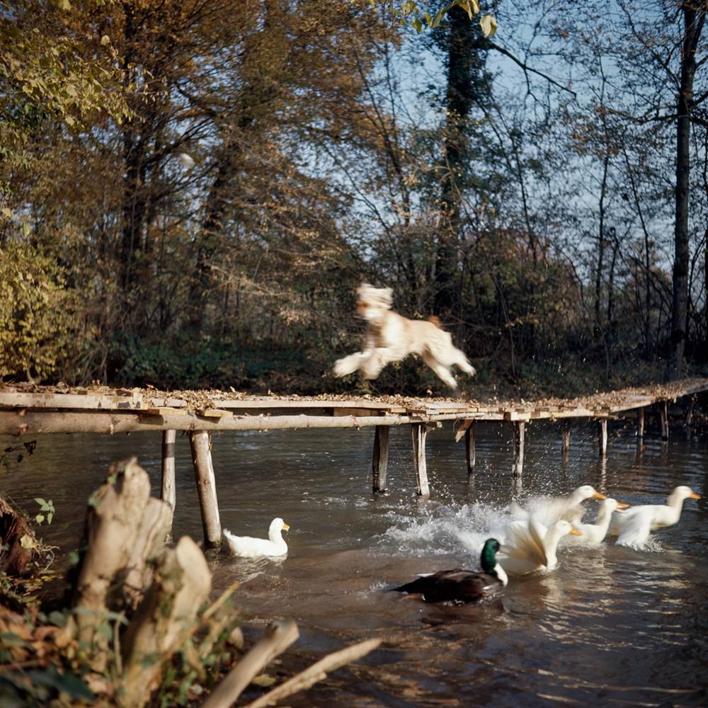 #13 Paris, October 1964