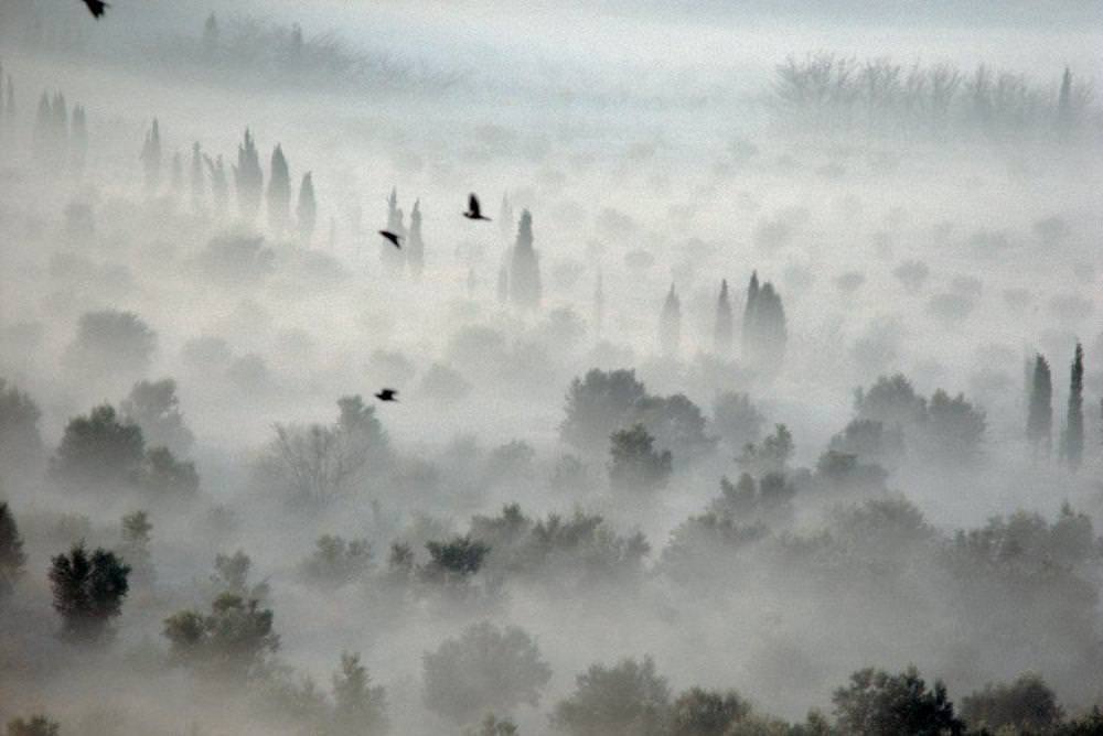 #20 A misty aerial view