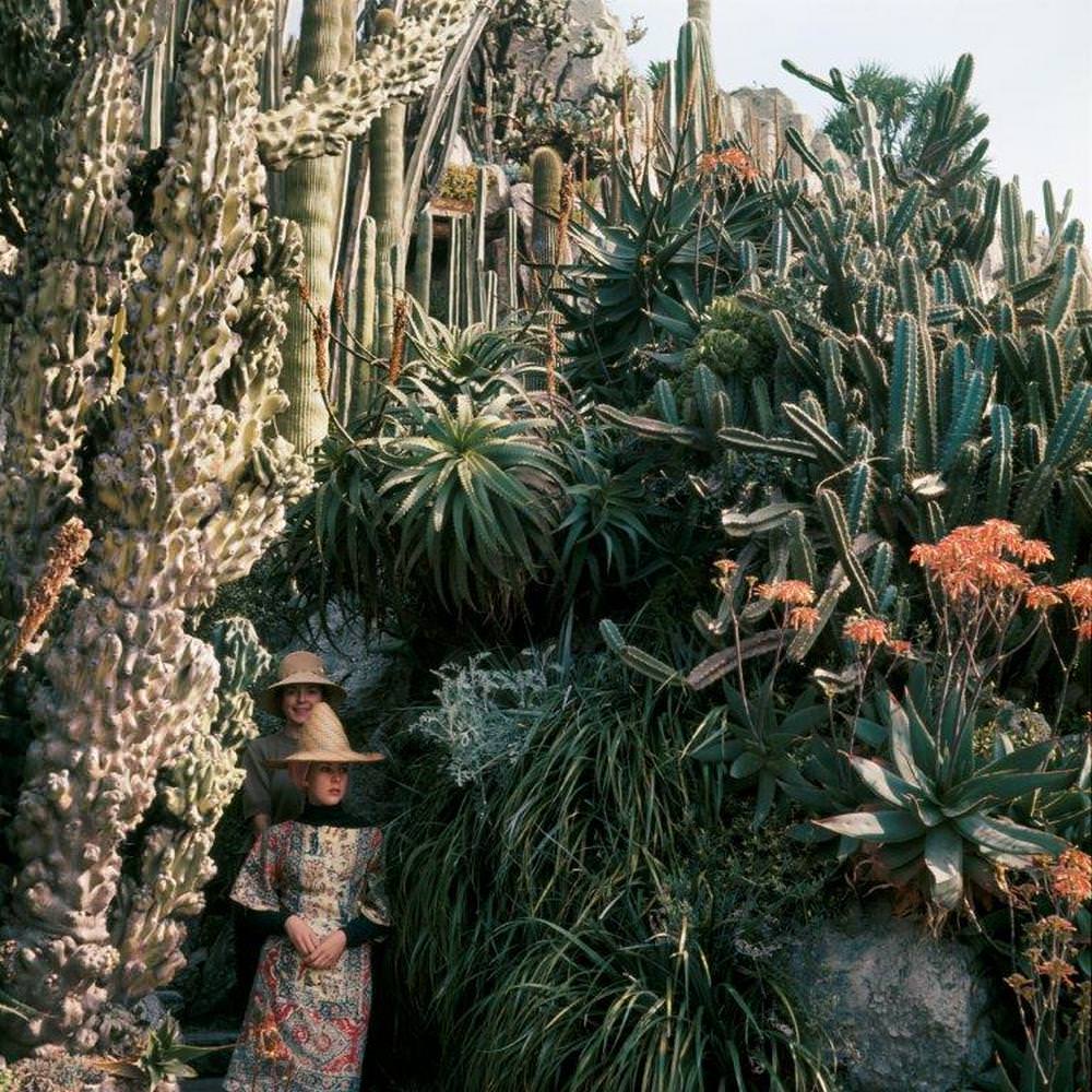 #21 Florette and Stéphanie, Exotic Garden, Monaco, April 13, 1964