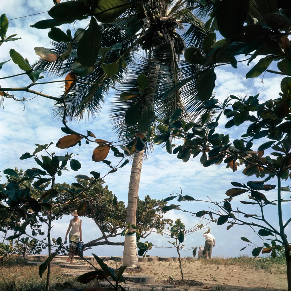 #3 Florette Puerto Cabello, 1962.