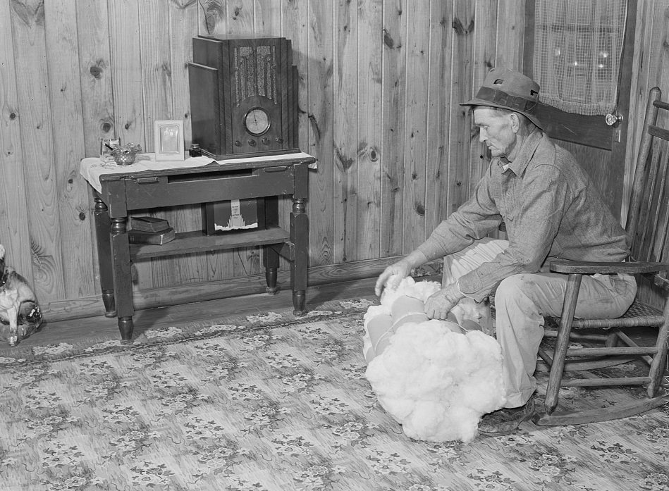 #22 Project farmer with his cotton samples in the living room of his new home. Sunflower Plantations, Merigold. Mississippi Delta, November 1939