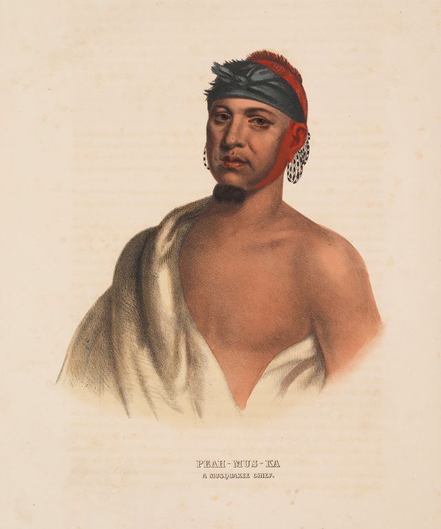 #50 Peah-Mus-Ka, A Musquakee Chief