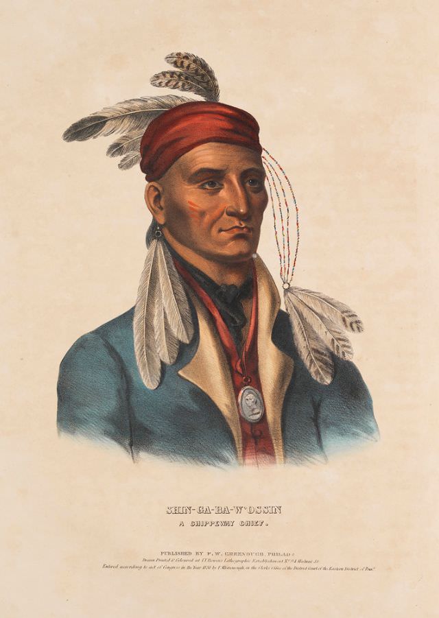 Shin-Ga-Ba-W’Ossin, A Chippeway Chief