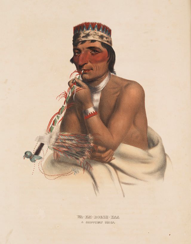 Wa-Em-Boesh-Kaa, A Chippeway Chief