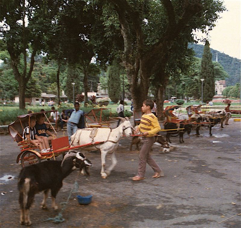 #19 Goat-drawn buggies, Petrópolis, Rio de Janeiro, 1984