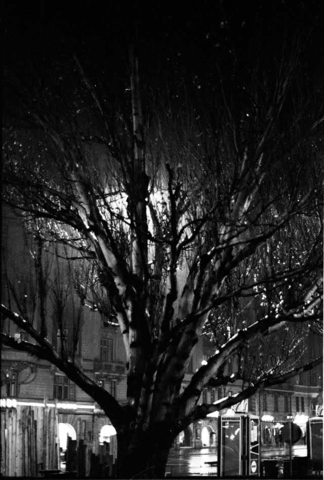 #63 Birger Jarlsgatan, Stockholm, 1967