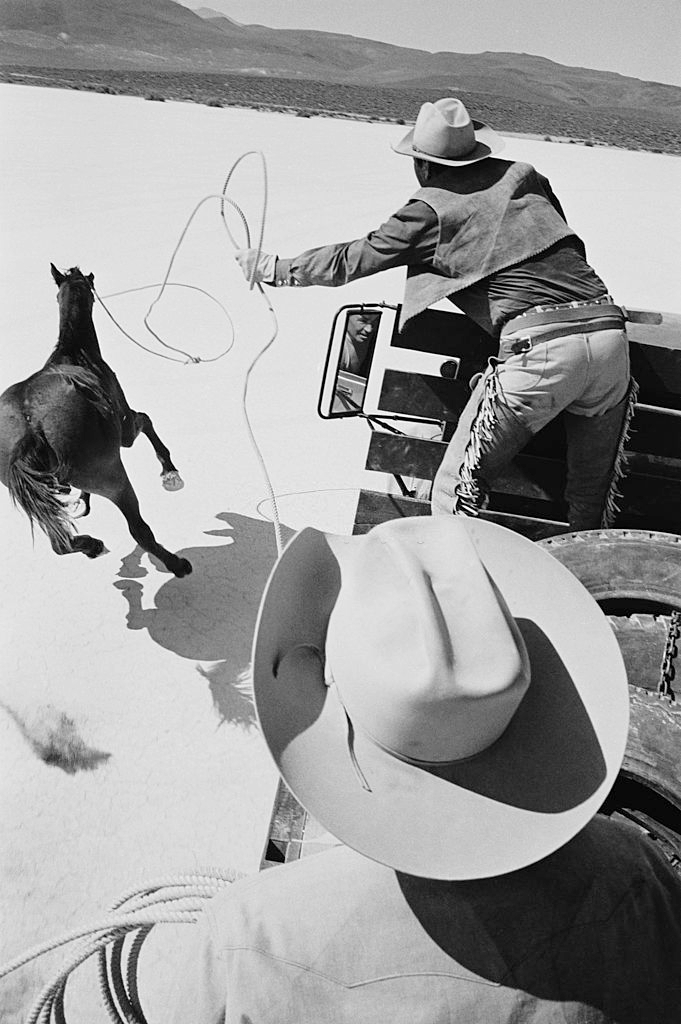 Stunt doubles attempt to lasso a mustang from the back of a truck, during the filming of ‘The Misfits’