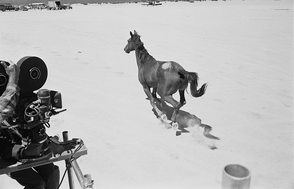 Cameramen taking footage of a galloping mustang from the back of a truck, during the filming of ‘The Misfits’ on location in the Nevada Desert.