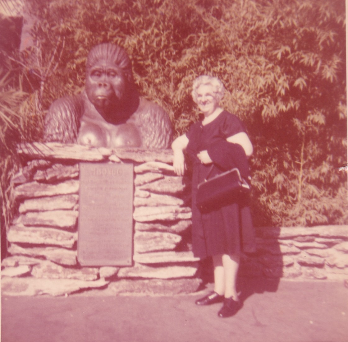 Hilarious Vintage Photos of Women Posing with Funny Objects and Signs Funny