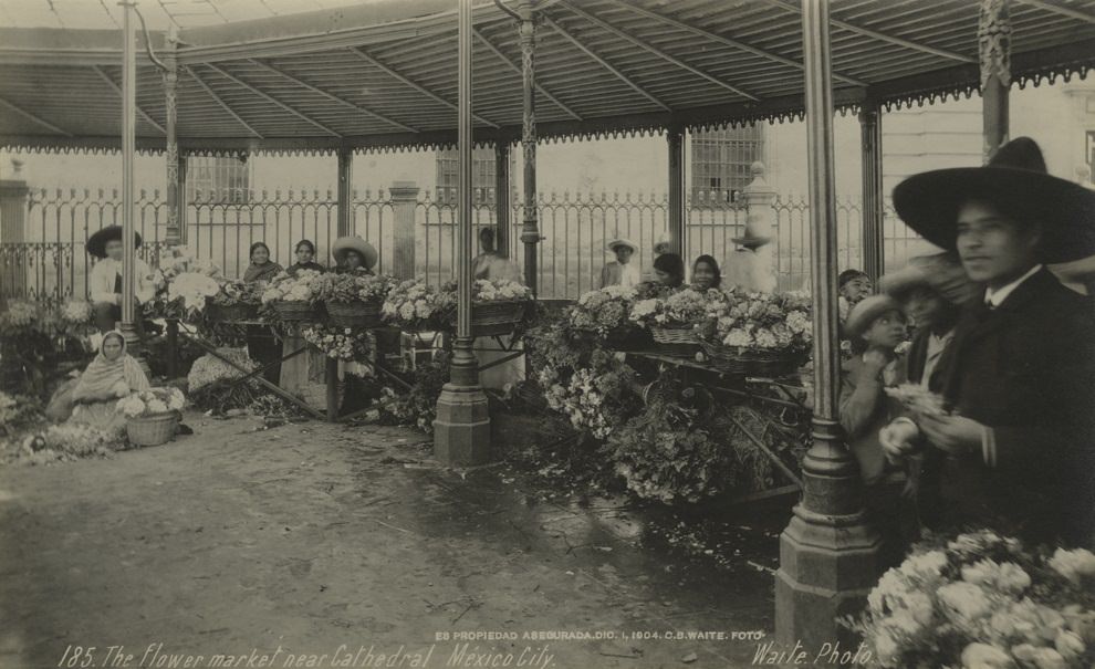 #48 The flower market near Cathedral. Mexico City, 1904