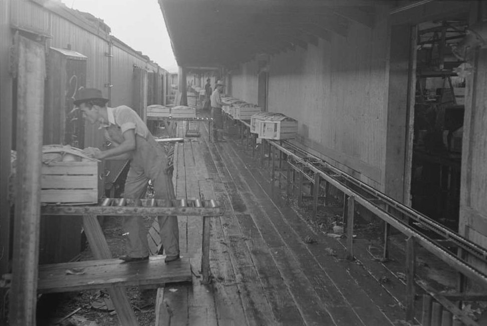 #27 Loading platform of vegetable packinghouse at Elsa, Texas, February 1939.