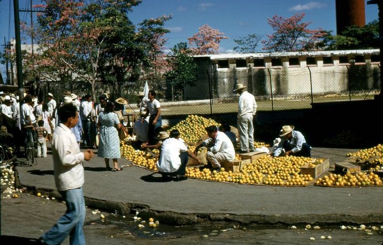#53 Oranges, Mérida 1957