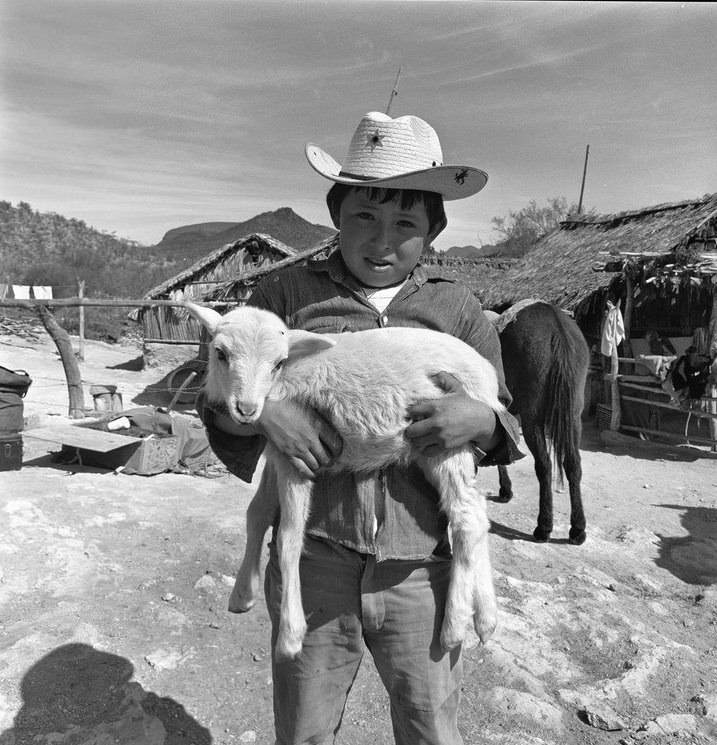 #14 Young boy carrying goat at Rancho Represito, 1967