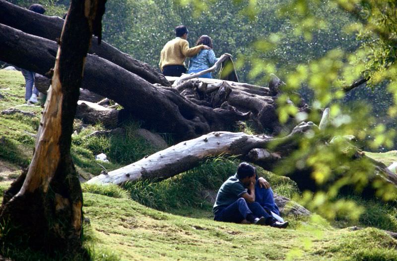 #33 Couples in Chapultepec Park, 1968
