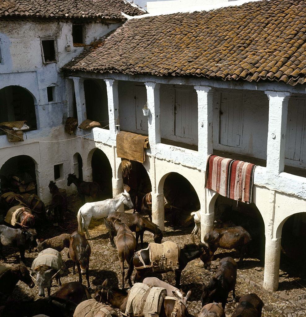 #23 The mules market in Chechaouen, 1960.