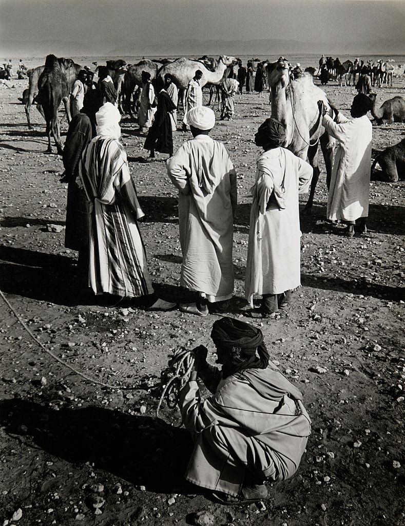 #25 Tuareg on camel market in Morocco, 1960.
