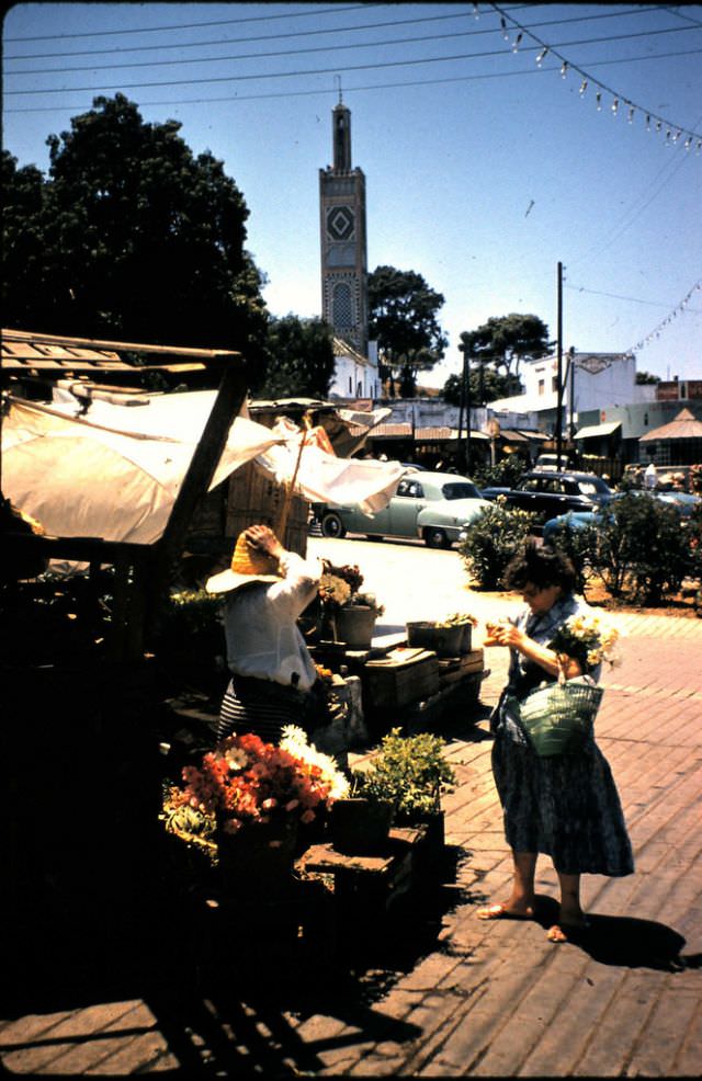 #105 Tangier, July 1960