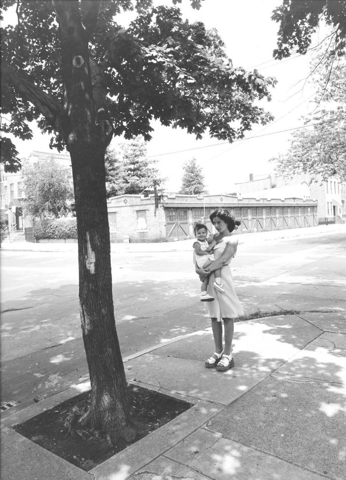 #24 Cypress Hills, 1970s.